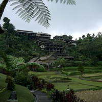 Photo de Bali - Baturiti
